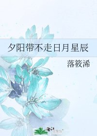 《夕阳带不走日月星辰》