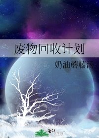《废物回收计划》