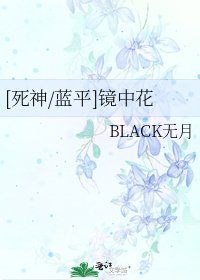 [死神/蓝平]镜中花