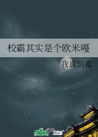 《校霸其实是个欧米嘠》