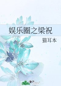《娱乐圈之梁祝》