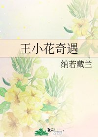 《王小花奇遇》