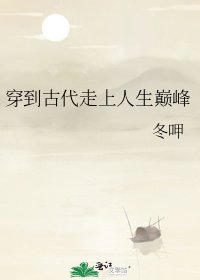 《穿到古代走上人生巅峰》