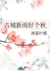 《古城新雨好个秋》