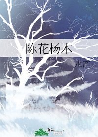 《陈花杨木》