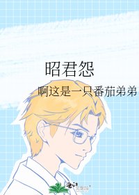 《昭君怨》