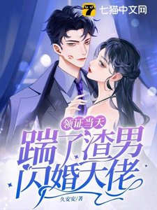 《领证当天踹了渣男闪婚大佬》