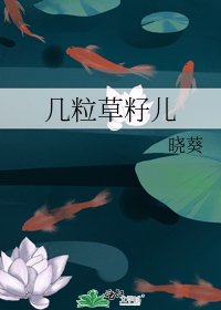 《几粒草籽儿》