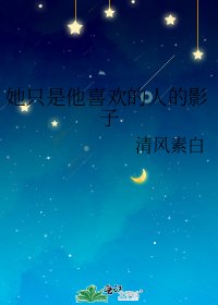 《她只是他喜欢的人的影子》