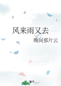 《风来雨又去》