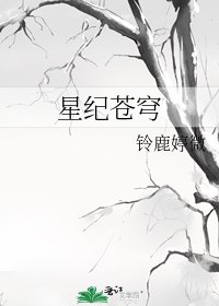 《星纪苍穹》