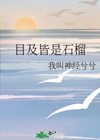 《目及皆是石榴》