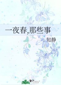 《一夜春,那些事》