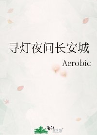 《寻灯夜问长安城》