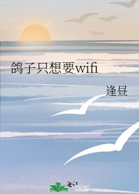 《鸽子只想要wifi》
