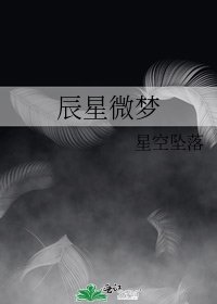 辰星微梦