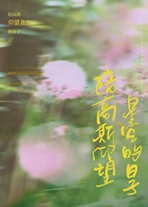 《十九世纪女律师》