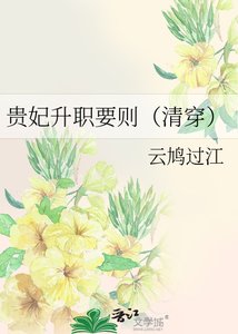 《贵妃升职要则(清穿)》