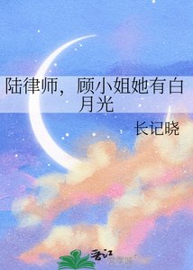 《陆律师,顾小姐她有白月光》