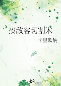 《揍敌客切割术》