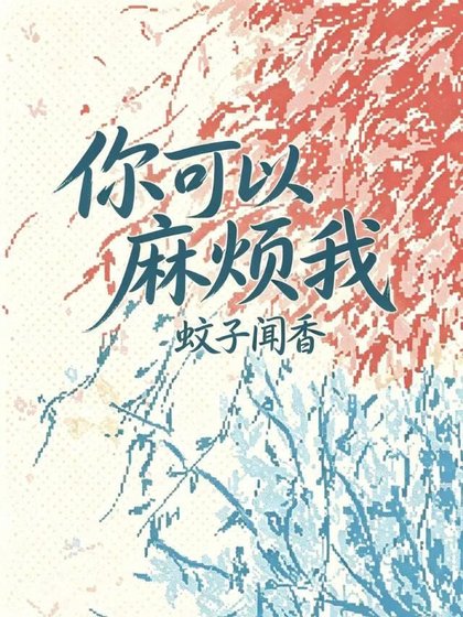 你可以麻烦我