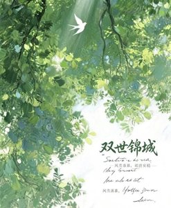 《双世锦城》