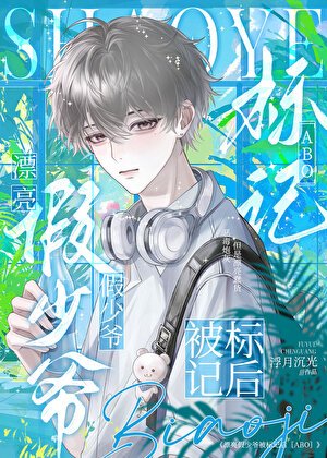 《漂亮假少爷被标记后ABO》