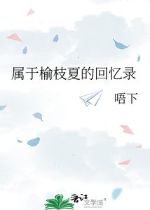 《属于榆枝夏的回忆录》