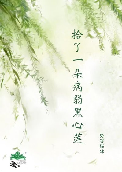 拾了一朵病弱黑心莲