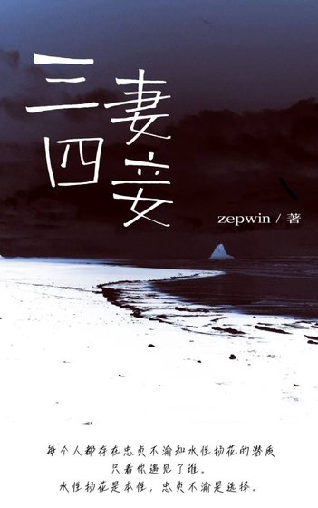 三妻四妾