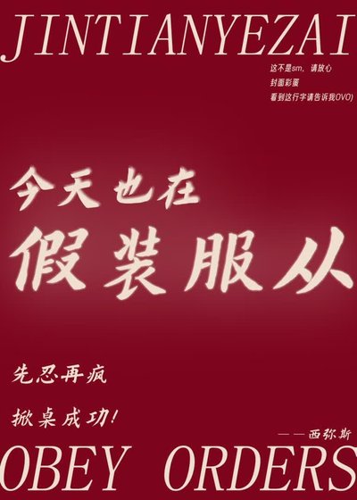 《今天也在假装服从》