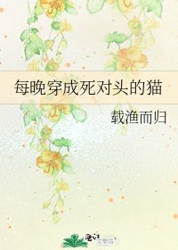 《每晚穿成死对头的猫》