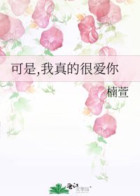 《可是,我真的很爱你》