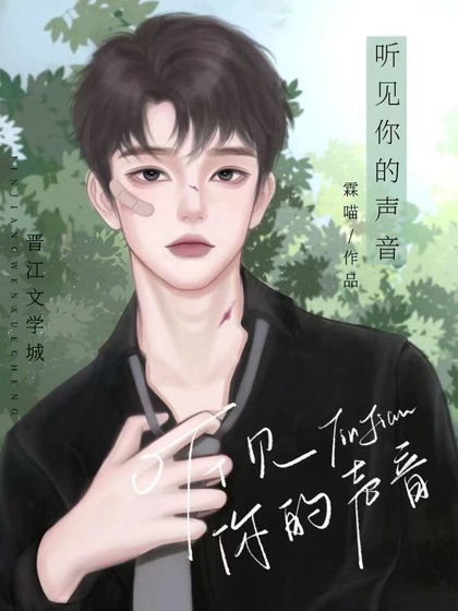 《刑侦:听见你的声音》
