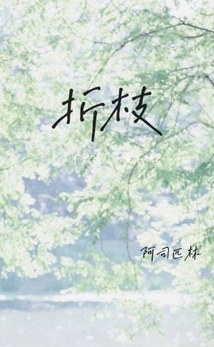 《折枝》