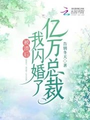 《被渣后,我闪婚了亿万总裁》