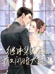 《继承集团后,我又闪婚大佬了》
