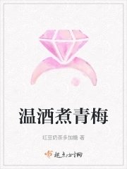 温酒煮青梅