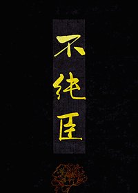 《不纯臣》