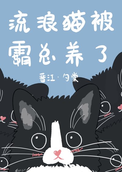 流浪猫被霸总养了
