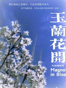 《玉兰花开》