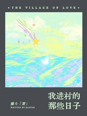 《我进村的那些日子》