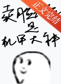 《卖脸花瓶是机甲大神》