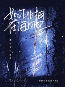 《如你相拥在海风里》