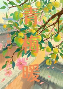 《青梅暖》