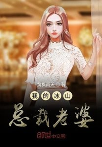 《我的冰山总裁老婆》
