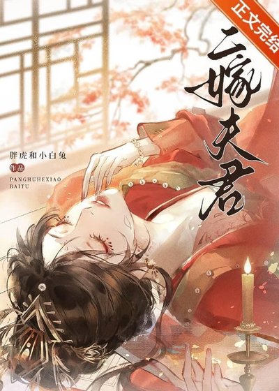 《二嫁夫君》