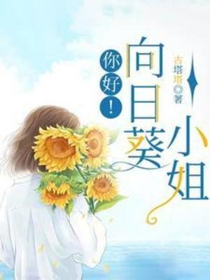 你好！向日葵小 姐