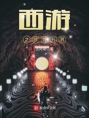 《西游之掠夺万界》