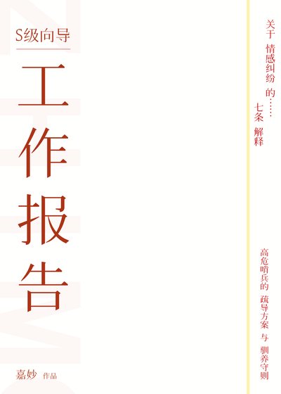 《S级向导工作报告》